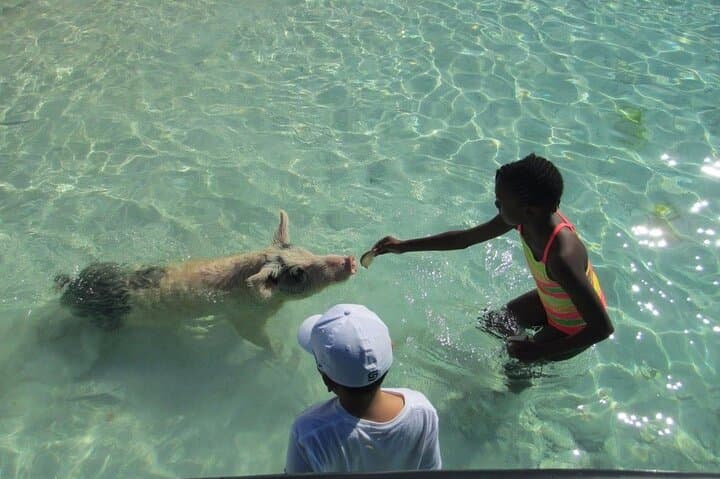 Exuma Cays Turquoise Experience: Private Day Charter from Nassau photo 5