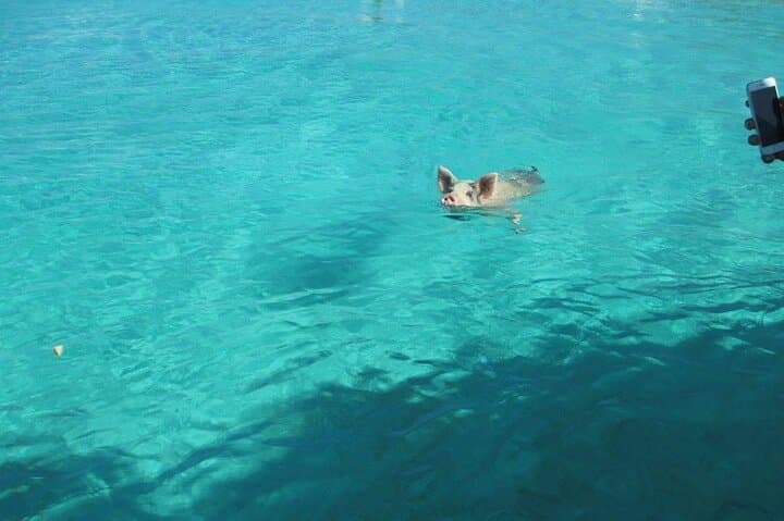 Exuma Cays Turquoise Experience: Private Day Charter from Nassau photo 6