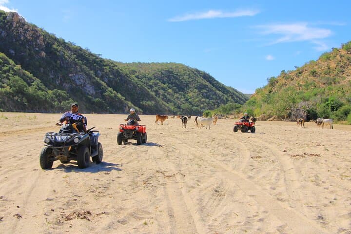 Cabo Migrino ATV: Desert-to-Beach Off‑Road Tour with Tequila Tasting photo 6