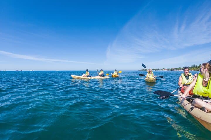 Kayak and Snorkel West End Roatan: Blue Channel & Turtle Crossing Adventure photo 2