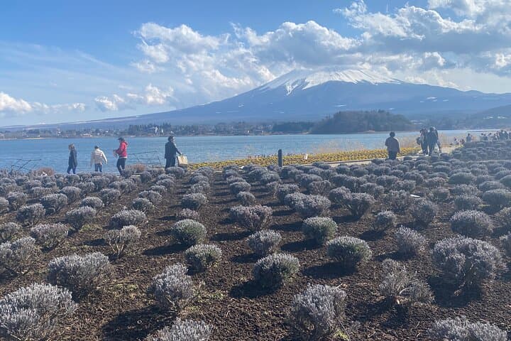 Private Luxury Day Tour to Mt. Fuji, Lake Kawaguchi & Thatched Villages photo 3
