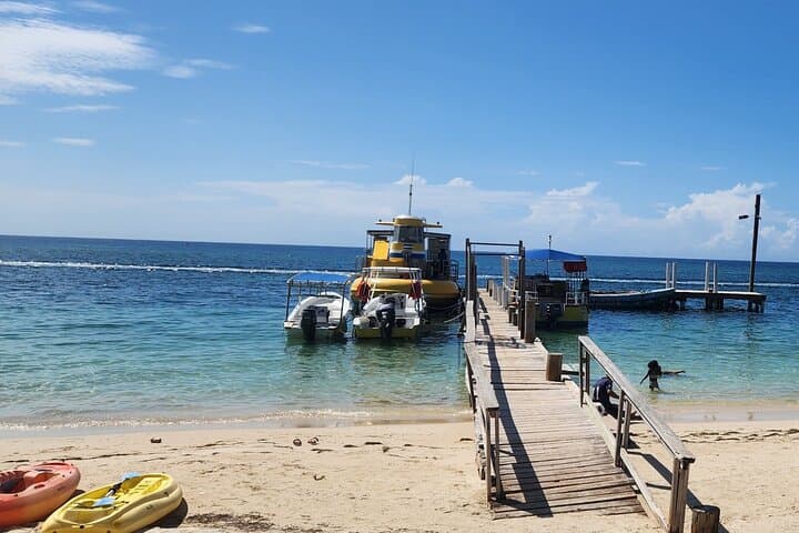 Roatán Adventure: Horseback Ride, Sloth Park & Glass-Bottom Reef Tour photo 2