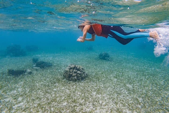 Kayak and Snorkel West End Roatan: Blue Channel & Turtle Crossing Adventure photo 3