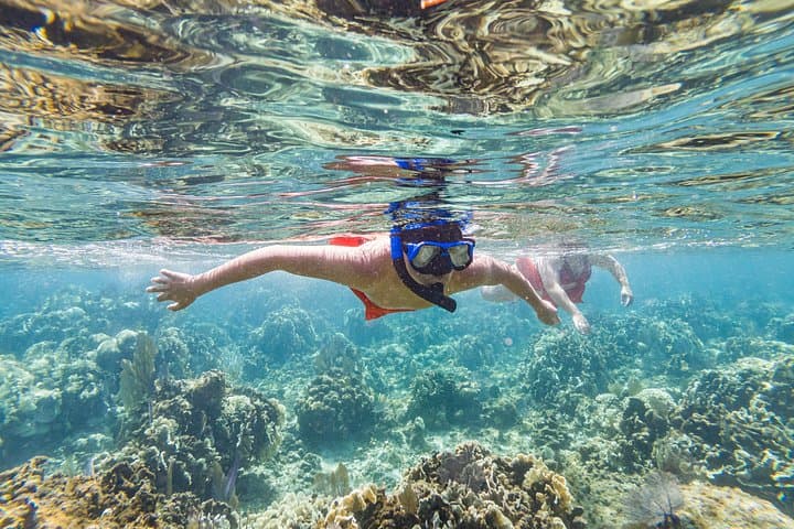 Kayak and Snorkel West End Roatan: Blue Channel & Turtle Crossing Adventure photo 5