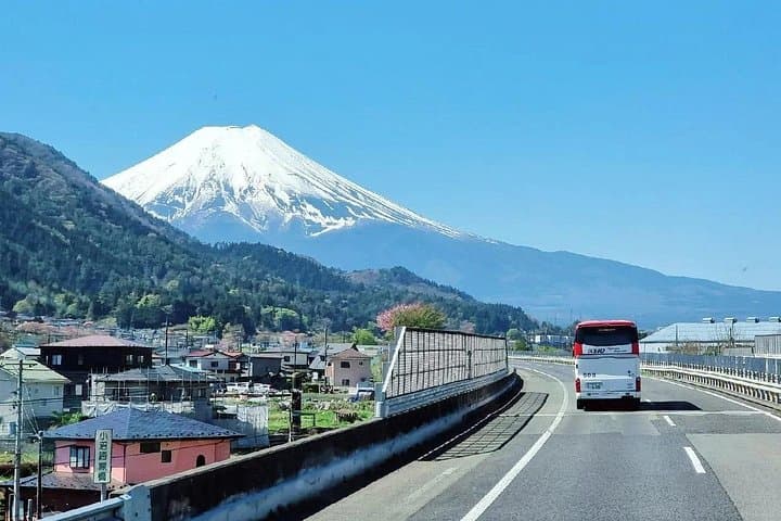 Private Mt Fuji & Hakone Day Tour from Tokyo — Ropeway, Owakudani and Lake Ashi Cruise photo 1