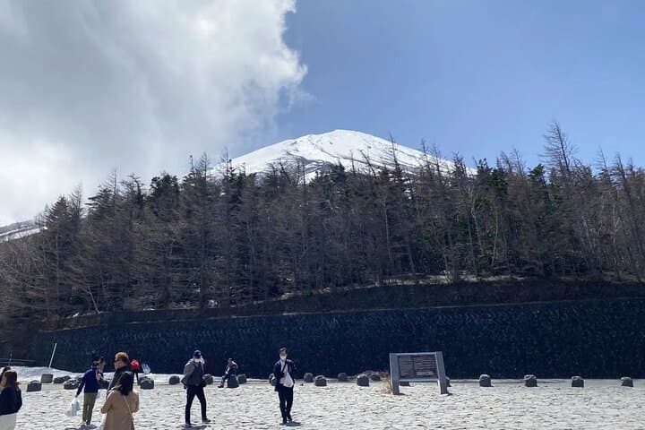 Private Mt Fuji & Hakone Day Tour from Tokyo — Ropeway, Owakudani and Lake Ashi Cruise photo 4