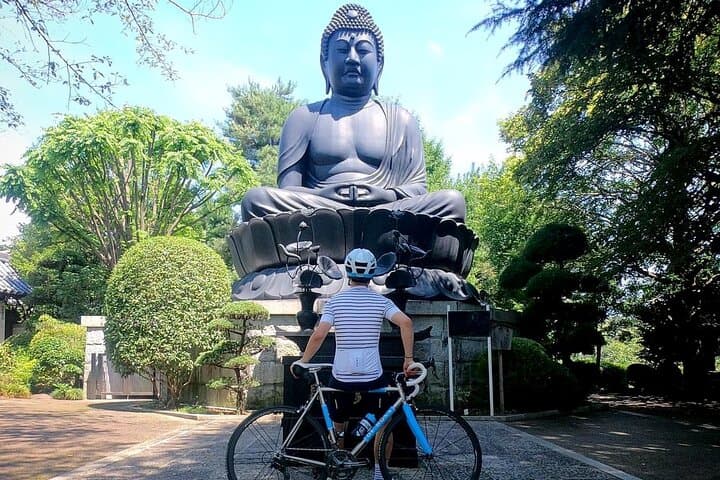 Guided Road Bike Tour in Tokyo: English & Italian Ride with Rental