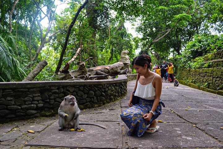 Ubud Full-Day Highlights: Monkey Forest, Tegalalang Rice Terrace & Tirta Empul (Private Tour) photo 5