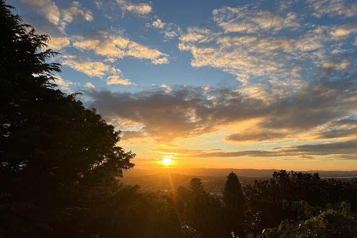 Auckland Twilight Sunset Tour: Muriwai Beach, Winery Dinner & Thermal Pools photo 3