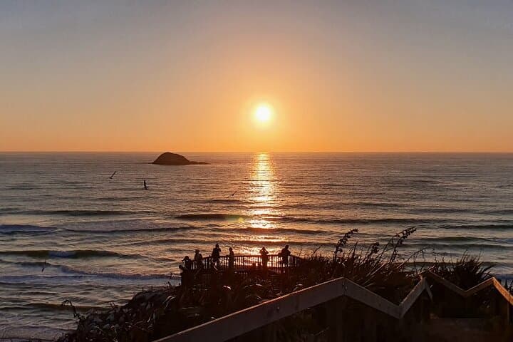 Auckland Twilight Sunset Tour: Muriwai Beach, Winery Dinner & Thermal Pools photo 5