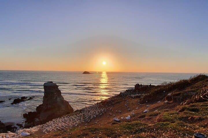Auckland Twilight Sunset Tour: Muriwai Beach, Winery Dinner & Thermal Pools