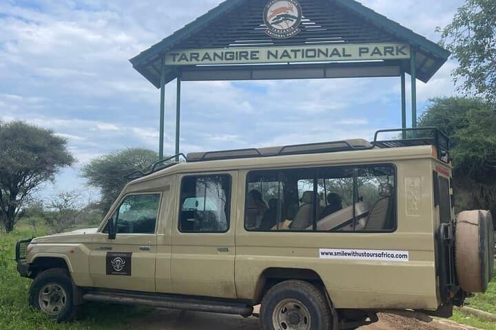 4-Day Zanzibar to Serengeti Luxury Safari: Tarangire, Ngorongoro & Balloon Experience