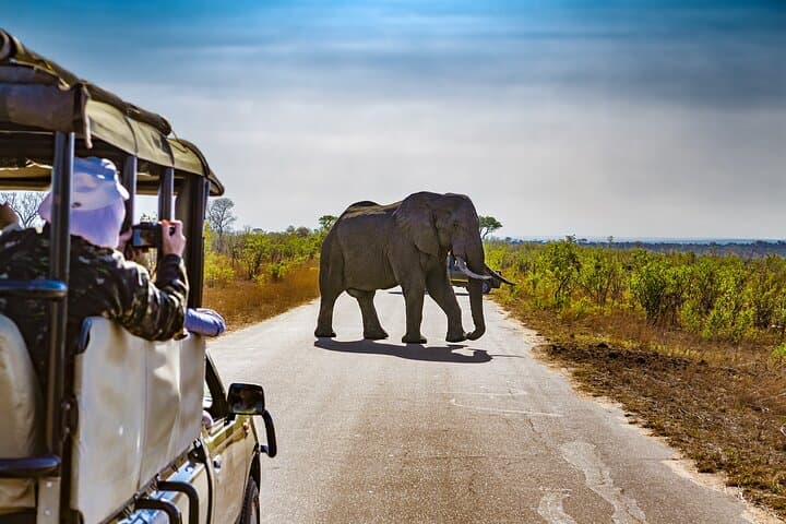 Pilanesberg Safari Tour from Johannesburg — Full-Day Open-Vehicle Game Drive