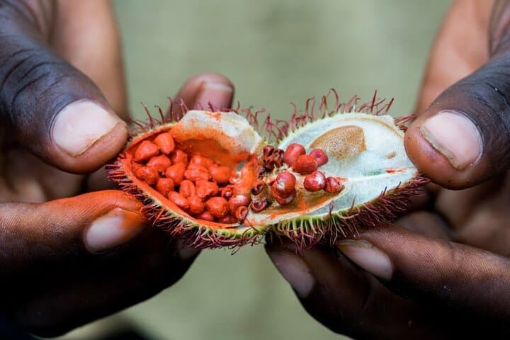 Zanzibar Spice Farm & Semi-Submarine Sunset Cruise — Spice Island Day and Night Marine Experience