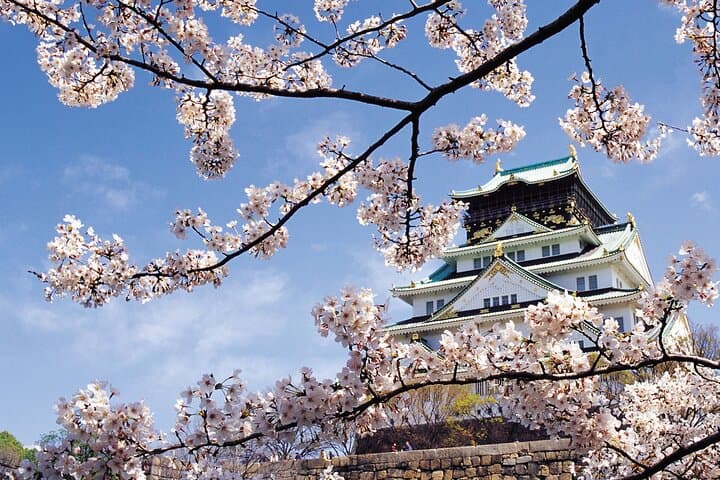 Customize Your Perfect One-Day Osaka Self-Guided Tour — Food, Castle & Skyline