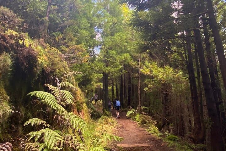 Hike Sete Cidades to Ferraria: Full-Day Volcanic Trail with Ocean Thermal Baths photo 4