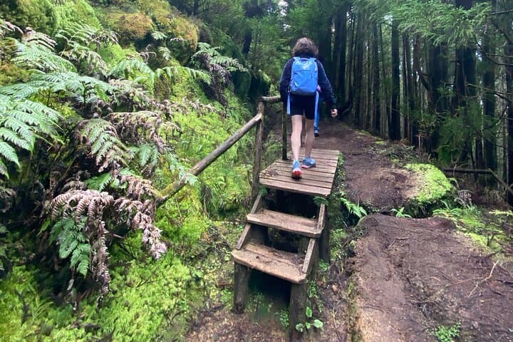 Hike Sete Cidades to Ferraria: Full-Day Volcanic Trail with Ocean Thermal Baths photo 6