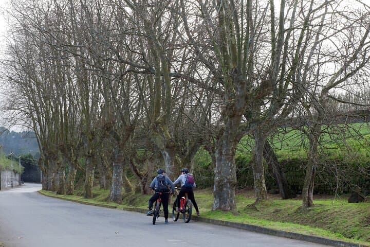 Ride Ribeira Grande: Half-Day Guided E‑MTB Tour on São Miguel photo 4