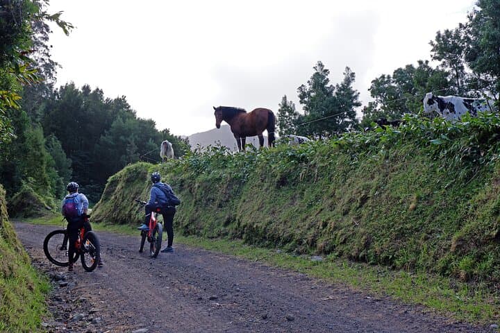 Ride Ribeira Grande: Half-Day Guided E‑MTB Tour on São Miguel