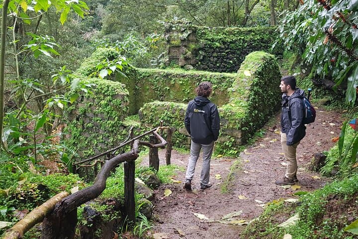 Hike Lomba de São Pedro Waterfalls & Gorreana Tea Plantation — Full-Day Azores Trail photo 2