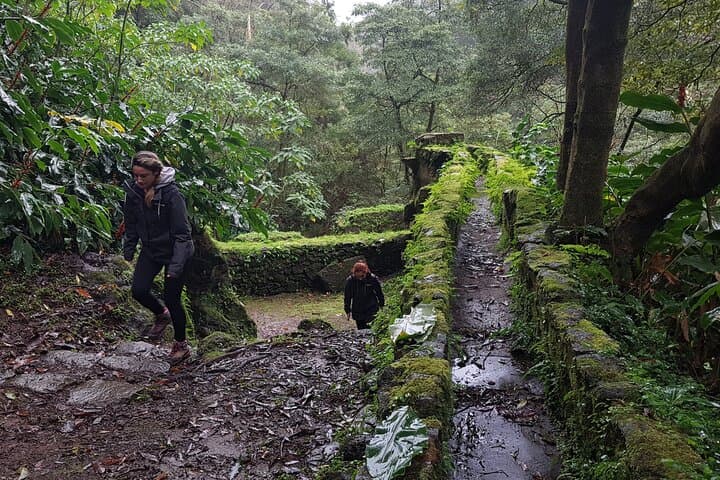 Hike Lomba de São Pedro Waterfalls & Gorreana Tea Plantation — Full-Day Azores Trail photo 4