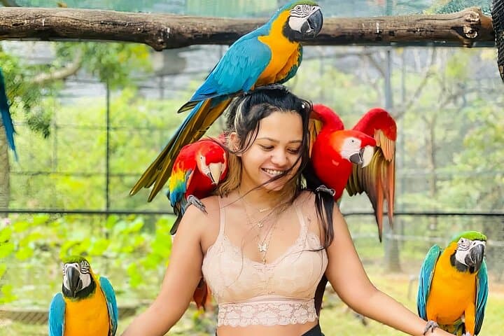 Discover Hambantota Bird Park: Bird Feeding, Species & Practical Guide