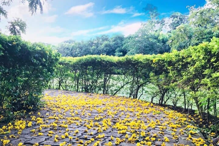 Discover Hambantota Bird Park: Bird Feeding, Species & Practical Guide photo 5