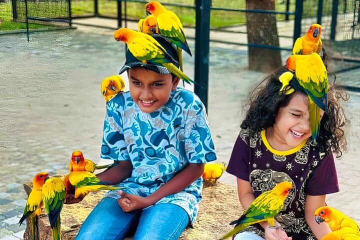 Discover Hambantota Bird Park: Bird Feeding, Species & Practical Guide photo 6