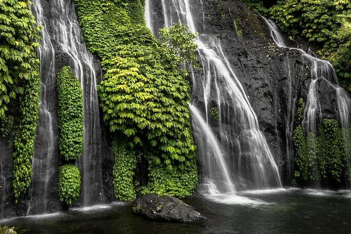 Sunrise Dolphin Watching and North Bali Day Tour: Lovina, Waterfalls & Lake Temples photo 3