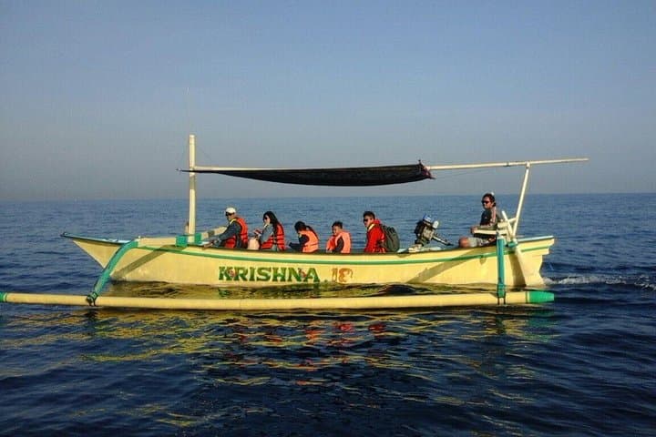 Sunrise Dolphin Watching and North Bali Day Tour: Lovina, Waterfalls & Lake Temples photo 1