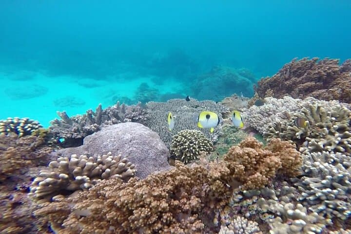 Gate of Heaven to Blue Lagoon: Bali Day Trip with Lempuyang Temple & Private Snorkel photo 5