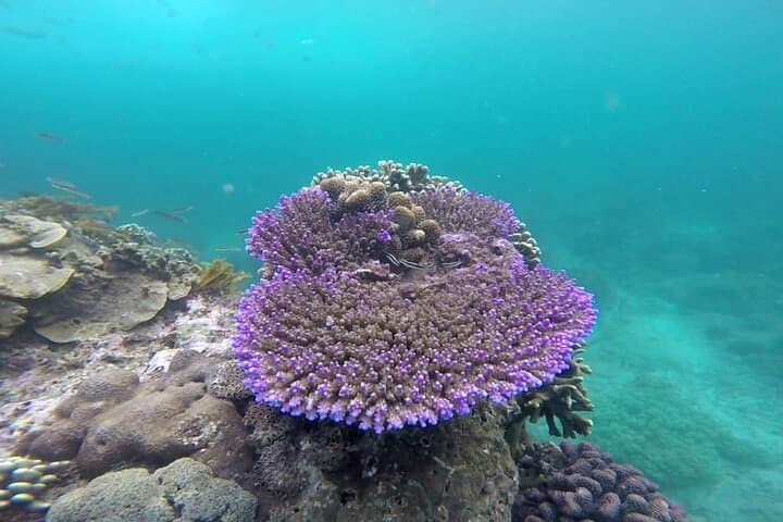 Gate of Heaven to Blue Lagoon: Bali Day Trip with Lempuyang Temple & Private Snorkel