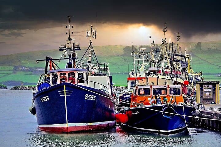 Dingle & Slea Head Private Tour: Scenic Drive Around Ireland's Wild Peninsula photo 5
