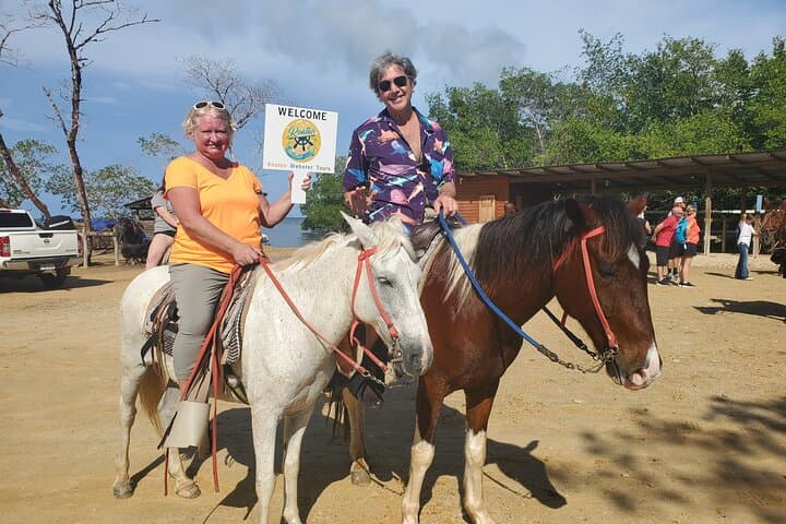 Roatán Zipline, Horseback & Snorkel Adventure: Zip, Meet Sloths, and Swim the Reef photo 6