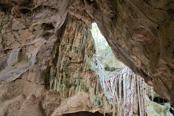 Full-Day Bob Marley, Dunn's River & Blue Hole Tour — St Ann, Jamaica photo 4