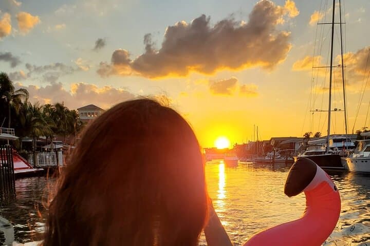 Sunset Dolphin Watch: Private Clearwater Bay Catamaran Cruise photo 3