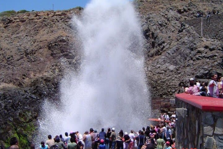 Exploring Las Canadas Ecopark and Bufadora: A Private Ensenada Adventure photo 4