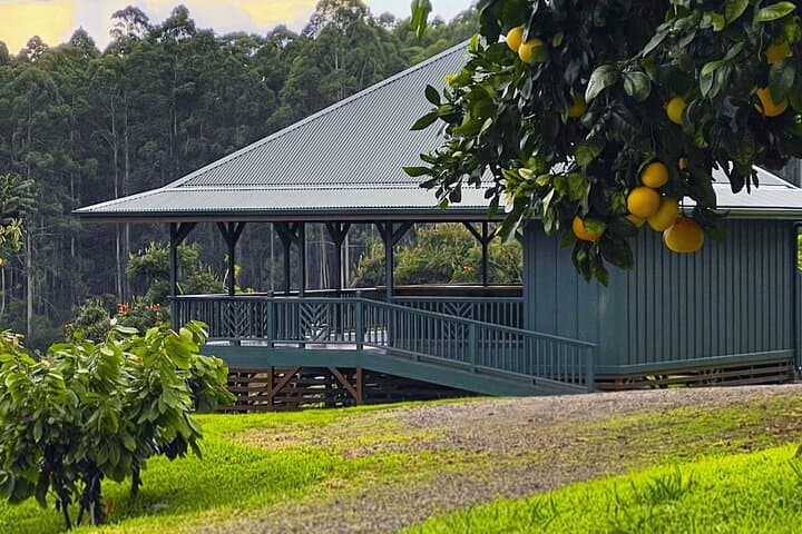 Honoli'i Orchards Craft Chocolate Tasting & Farm Tour near Hilo photo 4