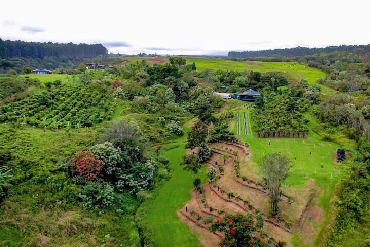 Honoli'i Orchards Craft Chocolate Tasting & Farm Tour near Hilo photo 6