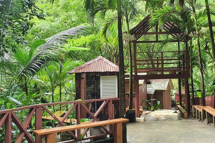 Private Sulphur Springs & Toraille Waterfall Tour — Soufrière Drive‑In Volcano Experience photo 5