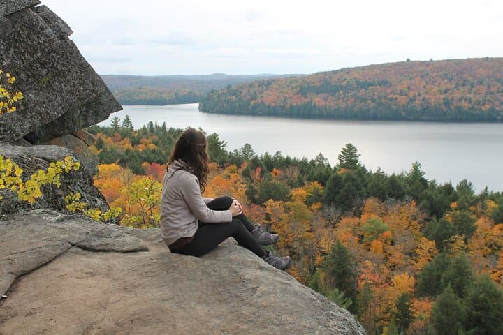 Exploring Algonquin Provincial Park: A Day Tour Escape from Toronto photo 6