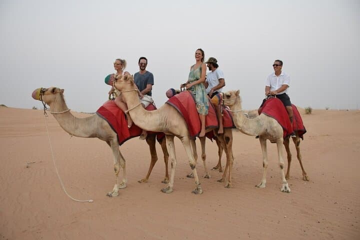 Dubai Dune Buggy Sunset Safari with Luxury BBQ at Heritage Camp photo 6