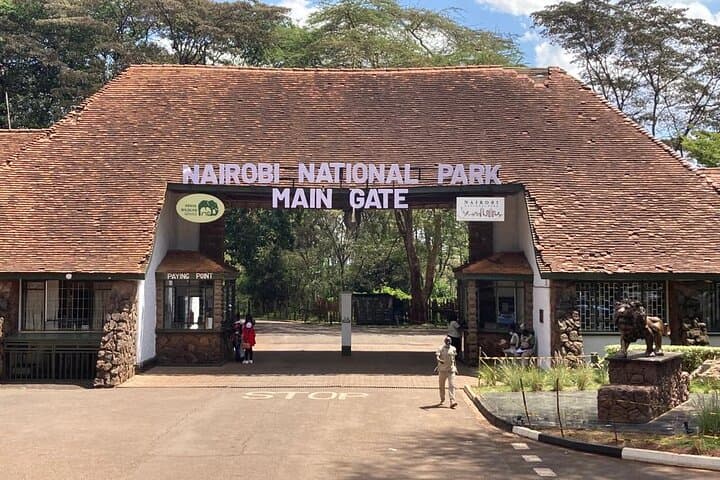 Half-Day Game Drive in Nairobi National Park: City Skyline Meets Wildlife photo 3