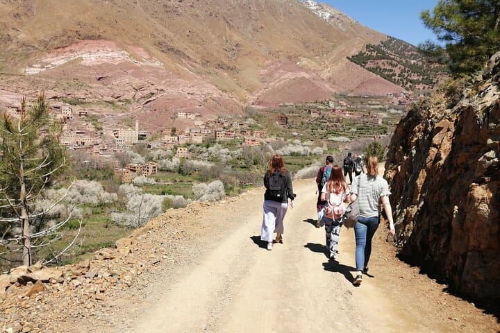 Agafay Desert & Atlas Mountains 4WD Day Trip from Marrakech photo 6