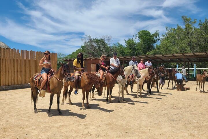 Roatán Adventure: Horseback Ride, Sloth Park & Glass-Bottom Reef Tour