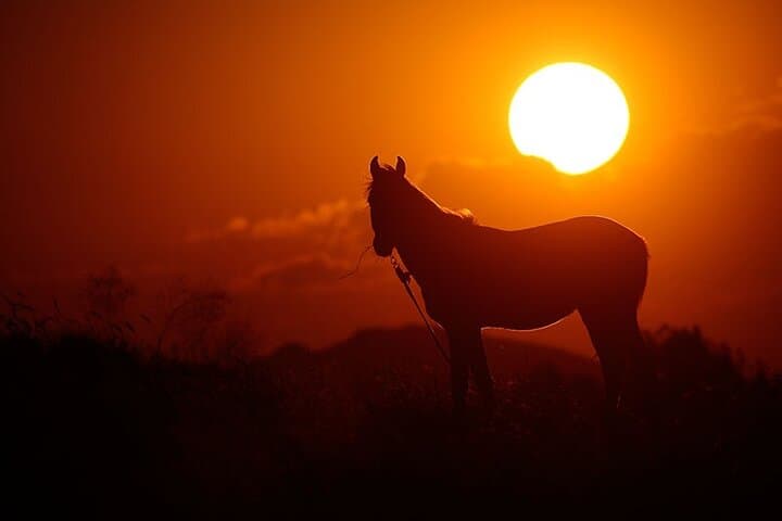 Sunset Horseback Ride Through Cappadocia's Valleys (With Transfer) photo 6