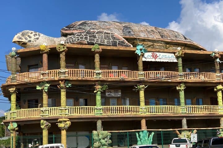 Roatan Sloth Park and Island Tour: Chocolate, Rum & Island Wildlife photo 2