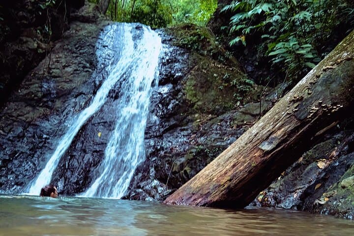 Jaco 10-Waterfall Hike at Finca los Solís — Rainforest Pools & Costa Rican Lunch photo 4
