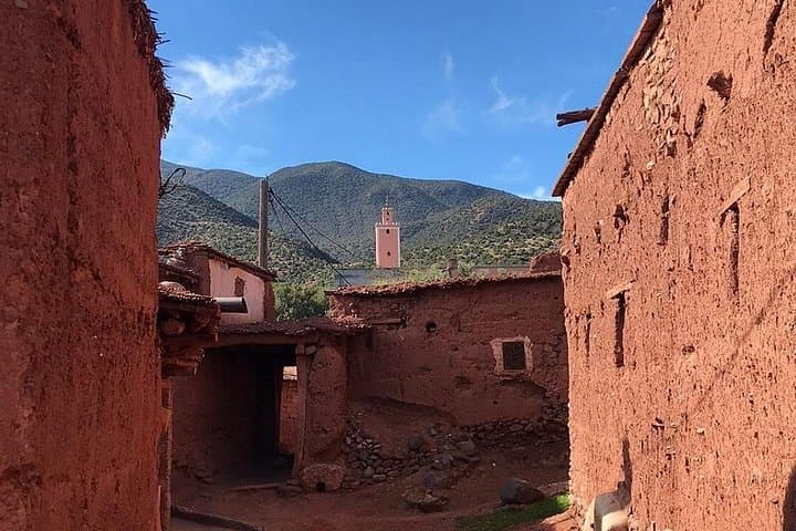 Ouirgan Valley Day Trip from Marrakech: Atlas Villages, Cedar Forests & Camel Rides photo 2