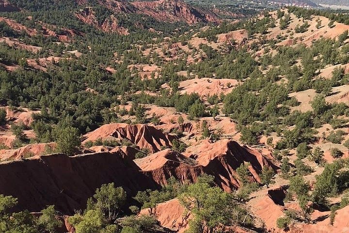 Ouirgan Valley Day Trip from Marrakech: Atlas Villages, Cedar Forests & Camel Rides photo 3